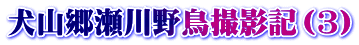 犬山郷瀬川野鳥撮影記（3）