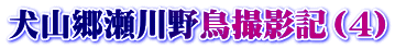 犬山郷瀬川野鳥撮影記（4）