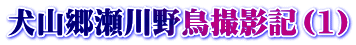 犬山郷瀬川野鳥撮影記（1）