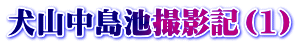 RrBeLi1j