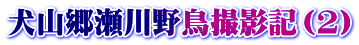 犬山郷瀬川野鳥撮影記（2）