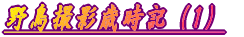 쒹BeΎLi1j