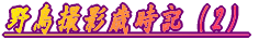 쒹BeΎLi2j