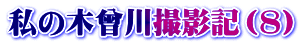 私の木曾川撮影記（8）